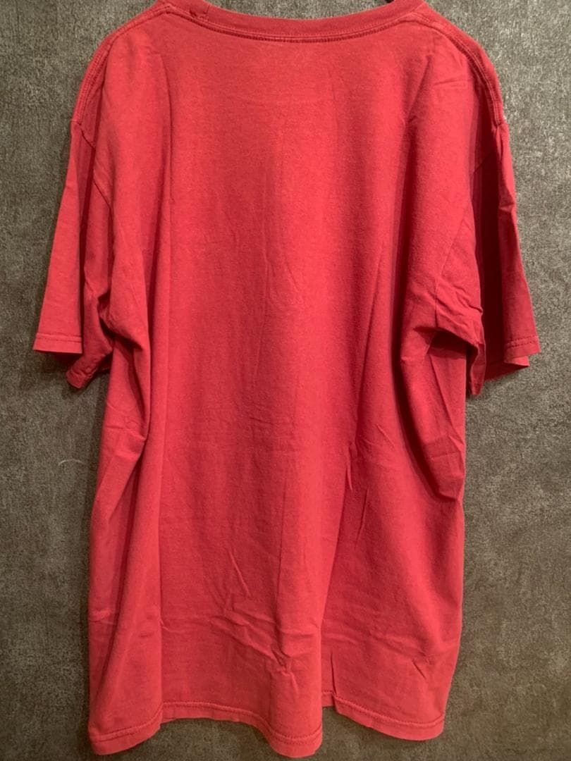 2015 RED HOT CHILI PEPPERS レッチリ Tシャツ