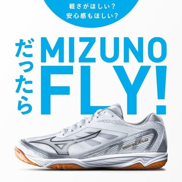 【限定値下】未使用品 ミズノ フライ 23.0 バレーボールシューズ