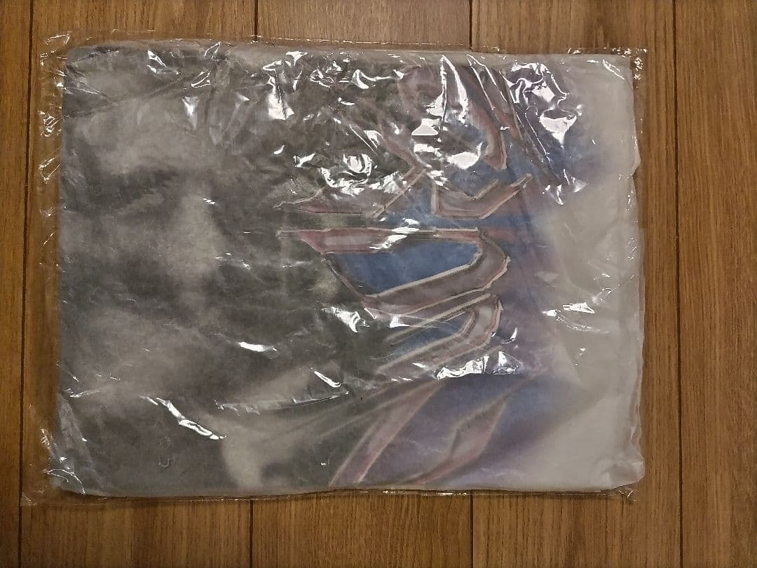 ジョーダン スポーツ85 DRI-FIT グラフィック Tシャツ : 010