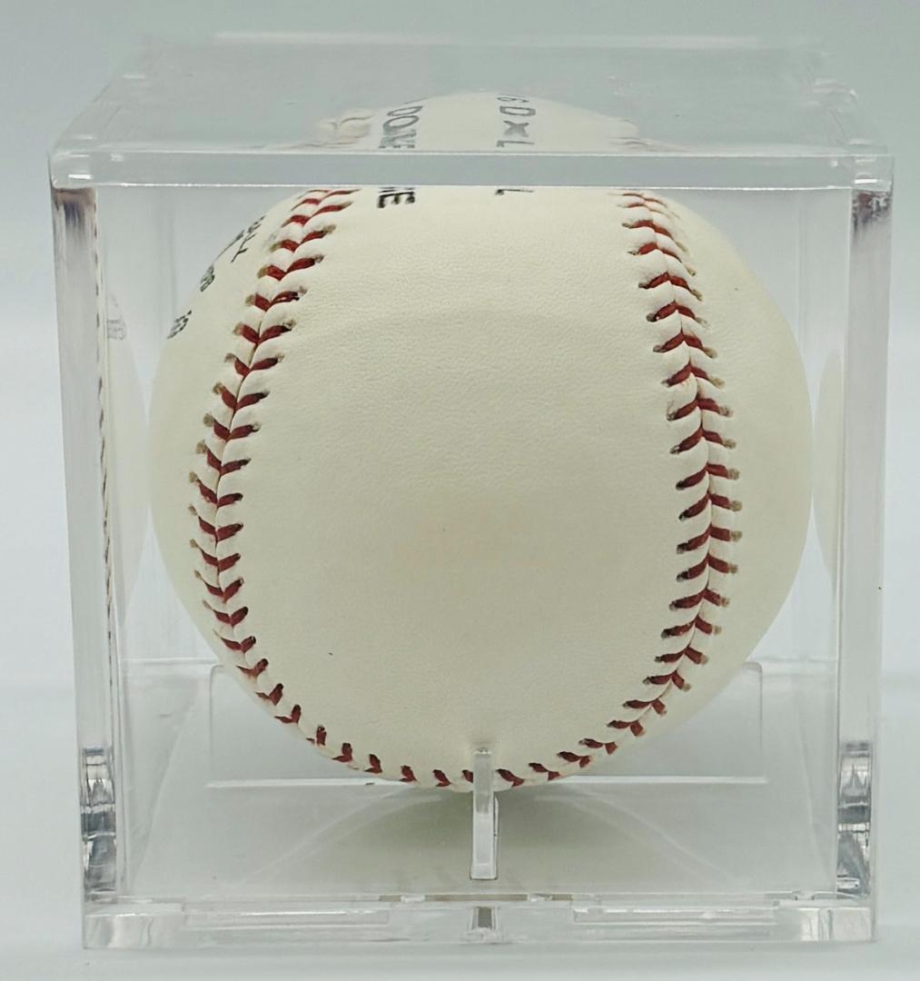 NPB 日本シリーズ公式試合球 2004 中日ドラゴンズ 西武ライオンズ