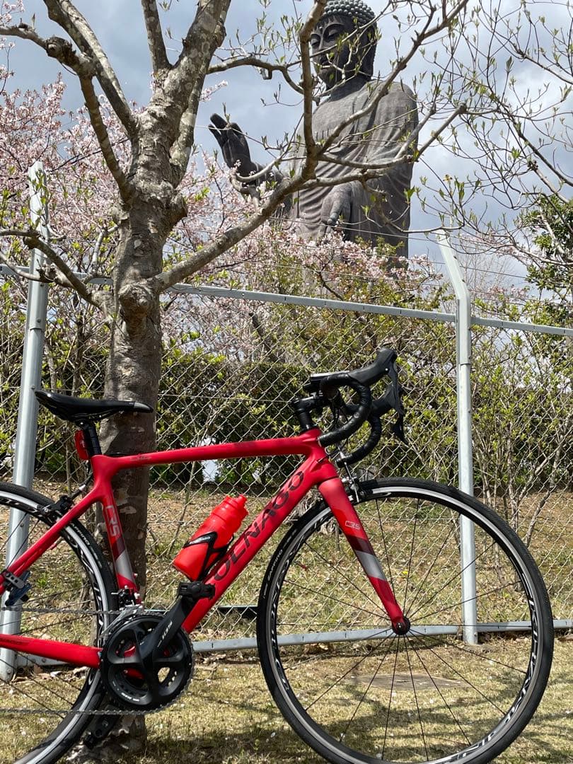 COLNAGO カーボンロードバイク レッド