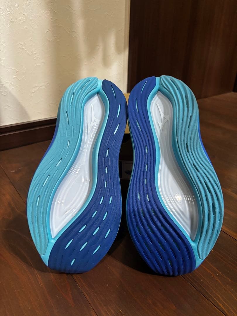 ミズノ　ネオビスタ　24.0cm