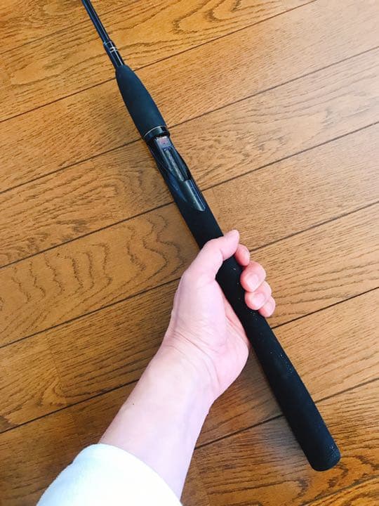 TEAM DAIWA チームダイワ TD-66T-2FS ギド・ヒブドンモデル