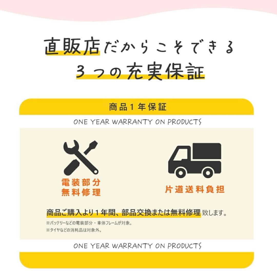 プロブロスPROVROS 折りたたみ電動アシスト自転車　20インチ　新品未使用