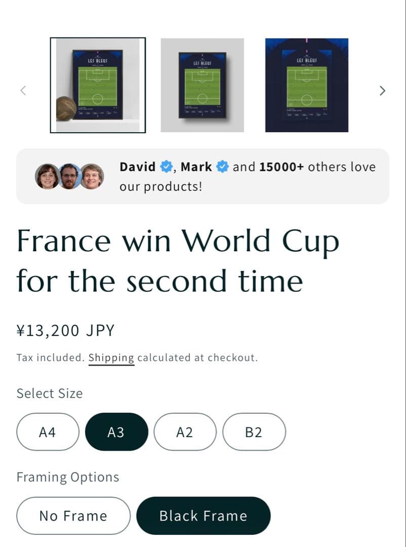 フランス代表 2018W杯優勝記念 アートポスター（LES BLEUS）