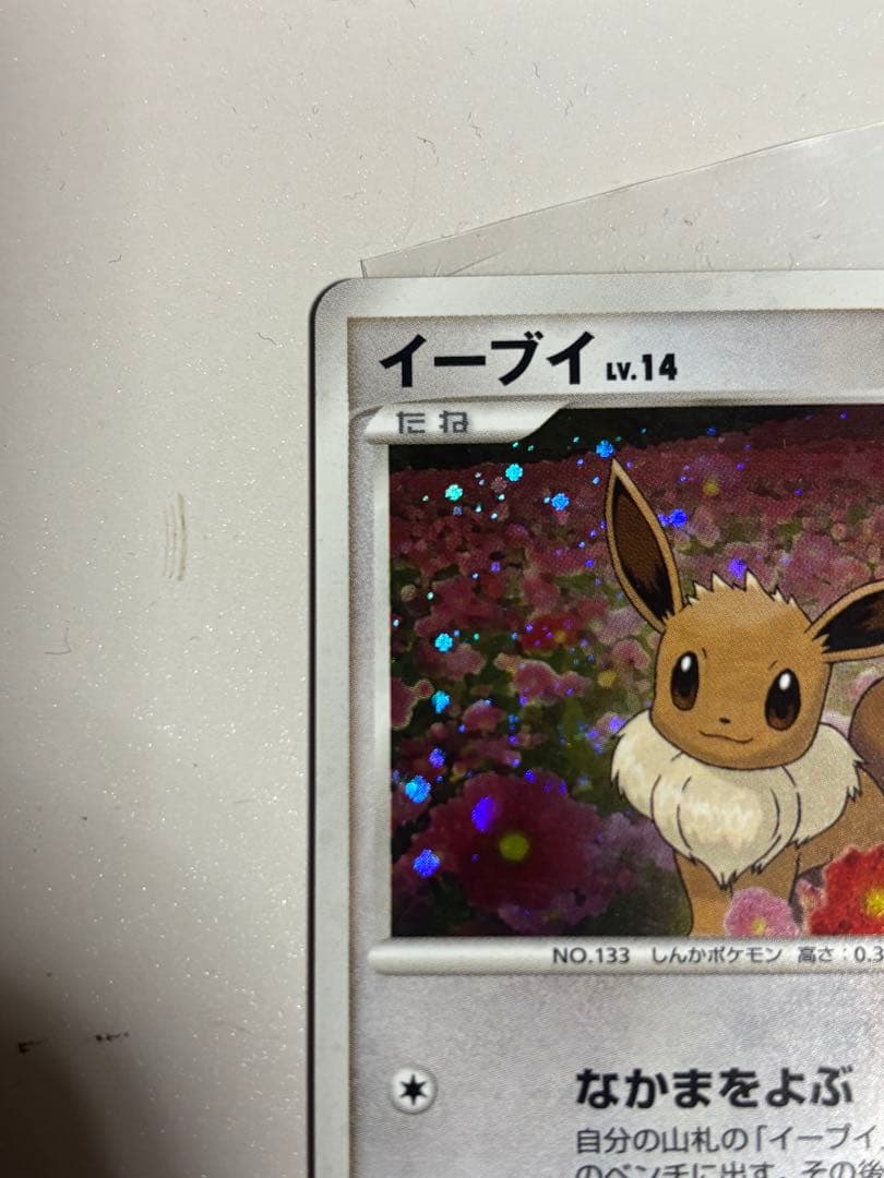 イーブイ 063/dp-p とりかえっこ DP プロモ　渦巻ホロあり