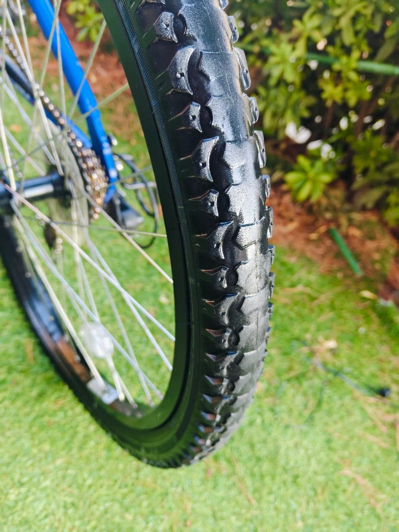 GIOS Genova 24 size ジュニア自転車 青
