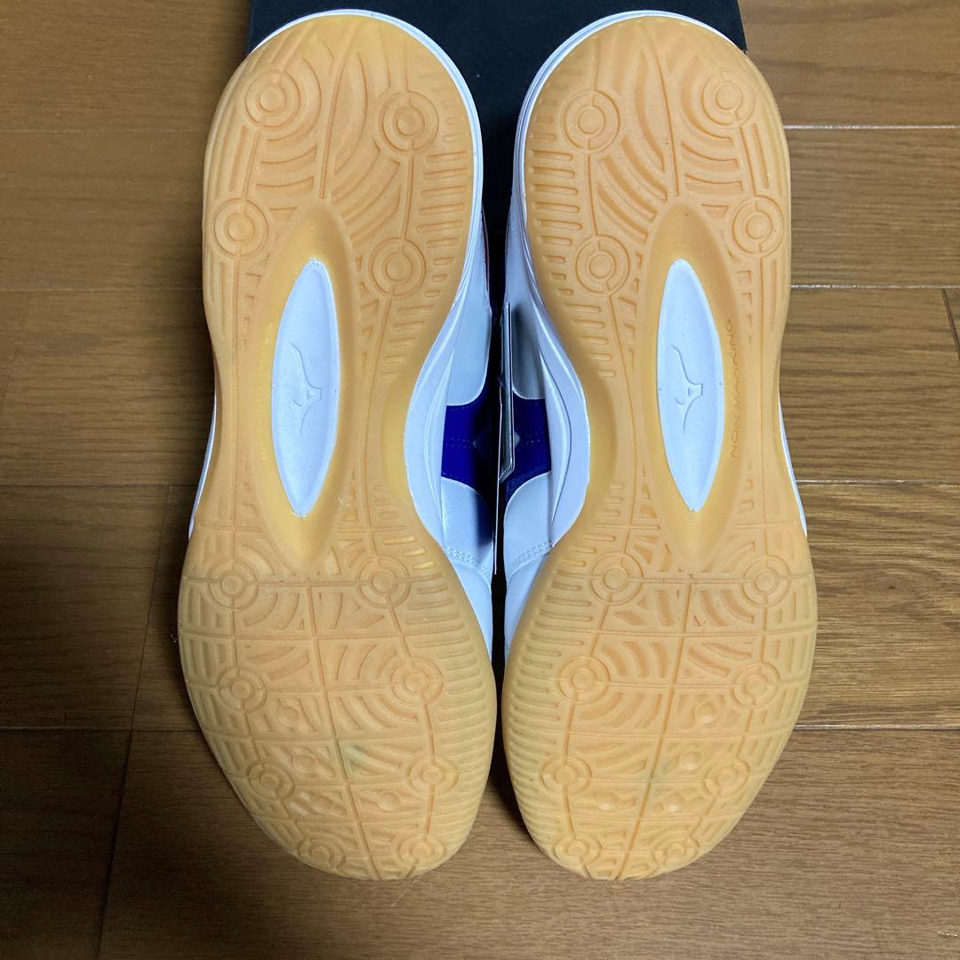Mizuno モレリアサラ Japan IN 25.5