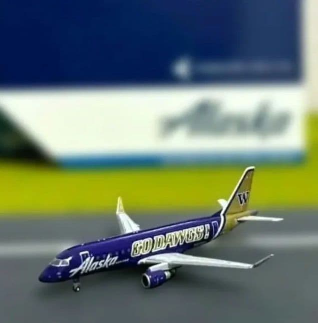 ◇アラスカ　クーガーズ　ハスキーズ　２機おまとめ　ERJ-175