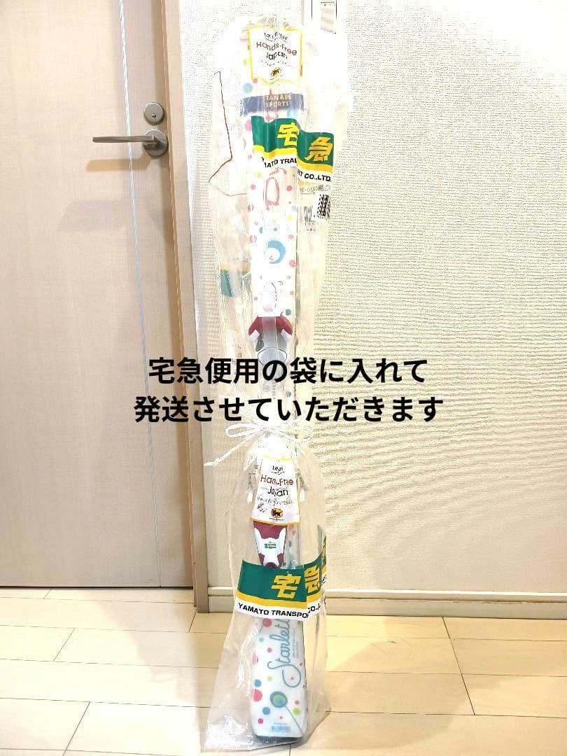 ダイナスター スキー板 子ども用 120cm ビンディング付