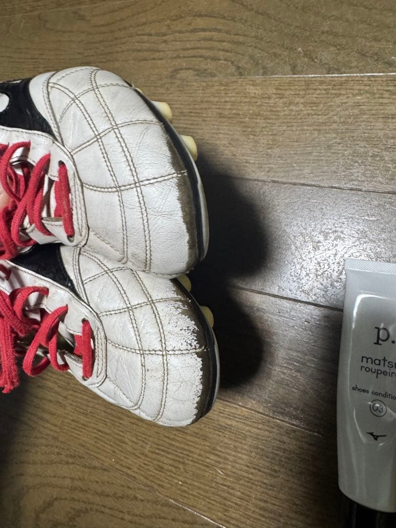 モレリア2Japan クロスステッチ 値下げ⭕️