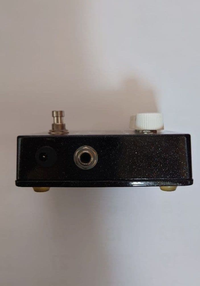 【4/5まで限定出品】デヴィッド・ギルモア　Vick Audio V-2