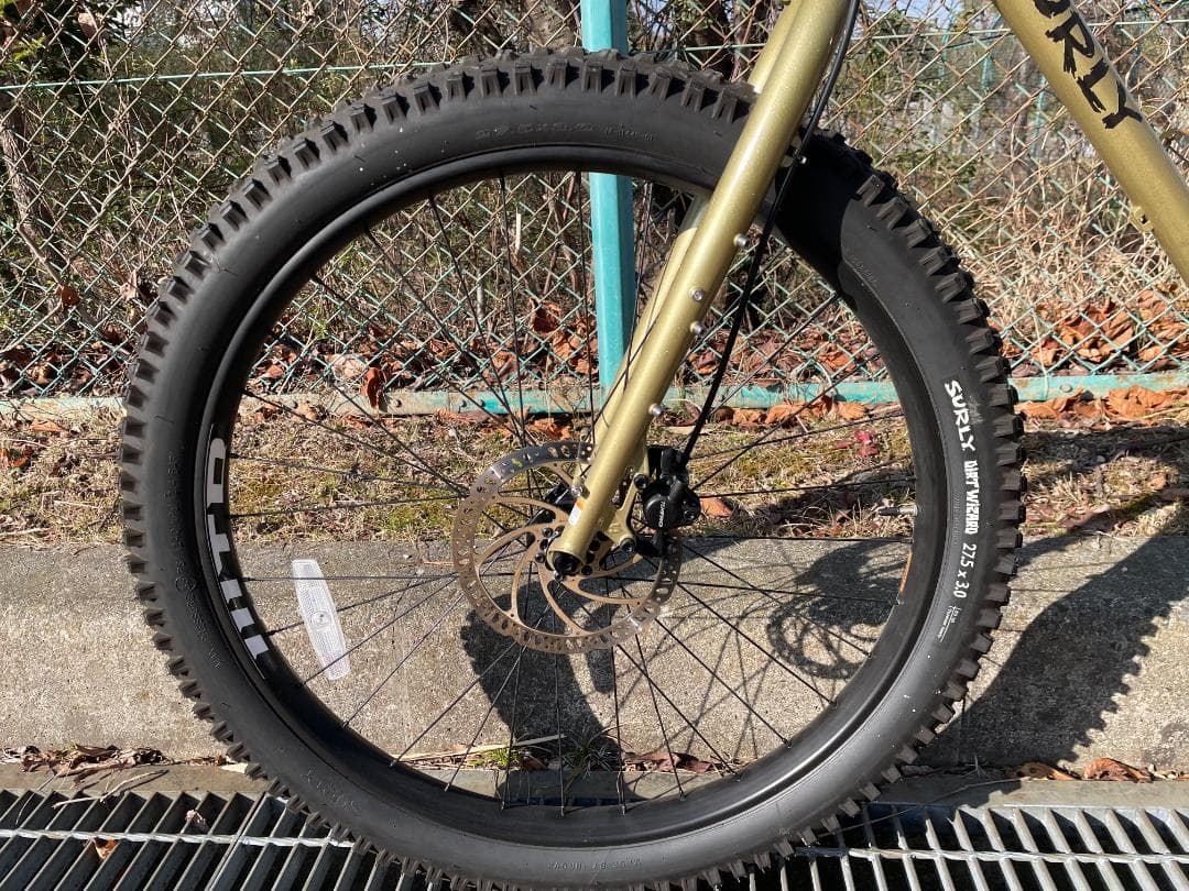 SURLY　KARATEMONKEY FOOLS GOLD
