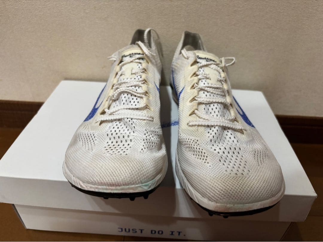 NIKE ドラゴンフライ2　27.0cm