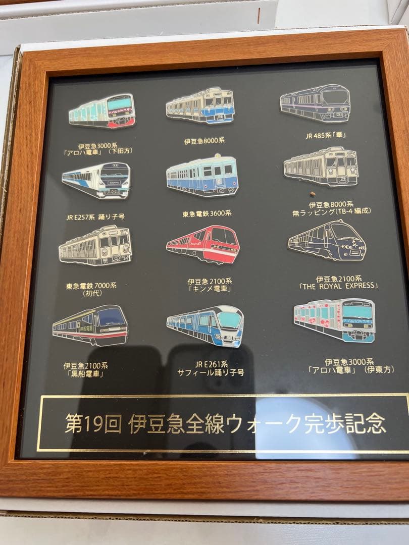伊豆急全線ウォーク 完歩記念 ピンバッチ