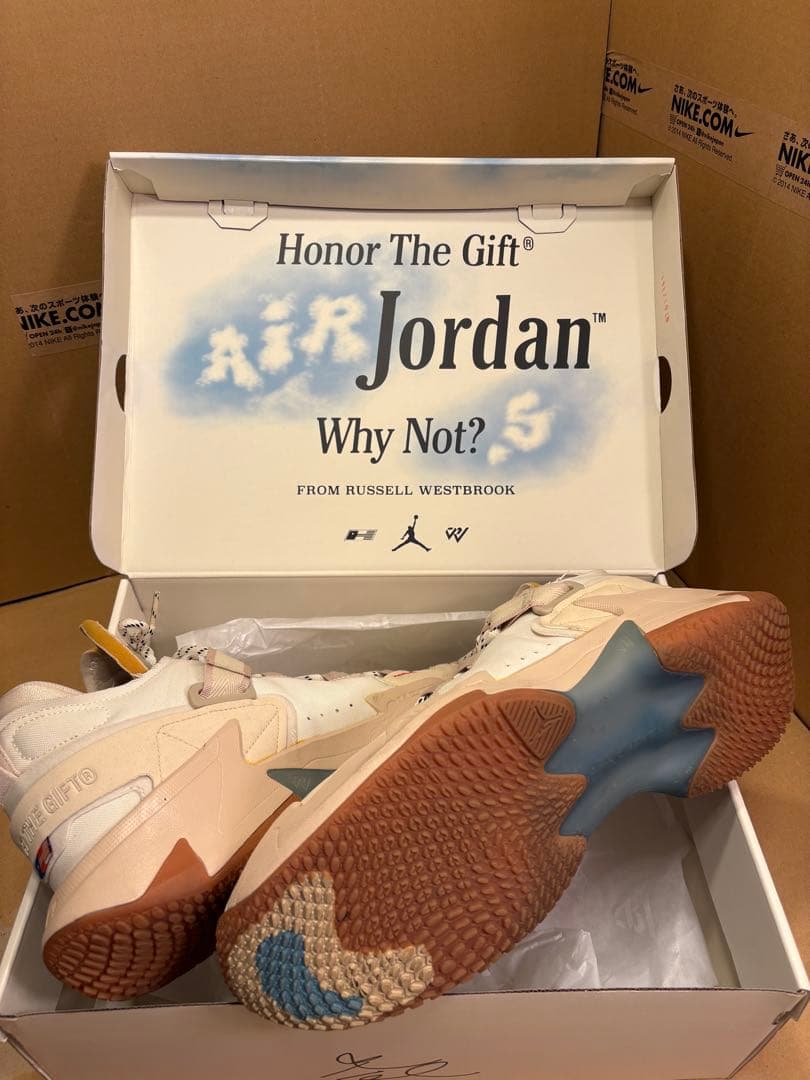 NIKE JORDAN WHY NOT.5 HTG PF 西ブル 31cm