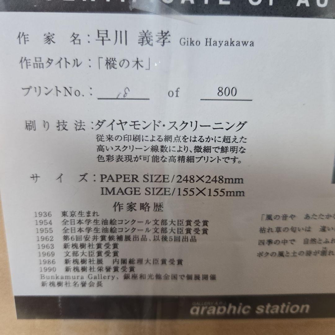 【新品】樅の木　早川義孝　ダイヤモンドスクリーニング　800-18　クリスマス