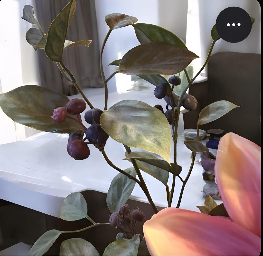 光触媒　観葉植物　フェイクグリーン　マジカルウォーター　マグノリア7644
