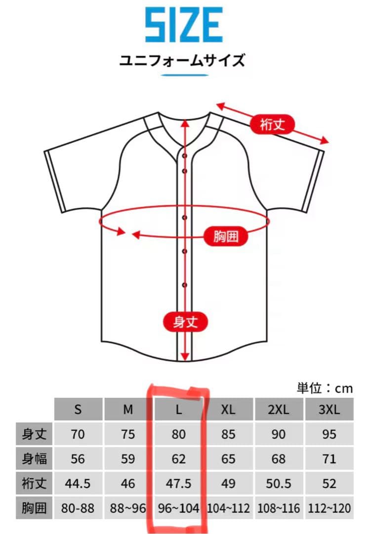 WE LOVE HOKKAIDO 2025レプリカユニ L 松本剛　#7