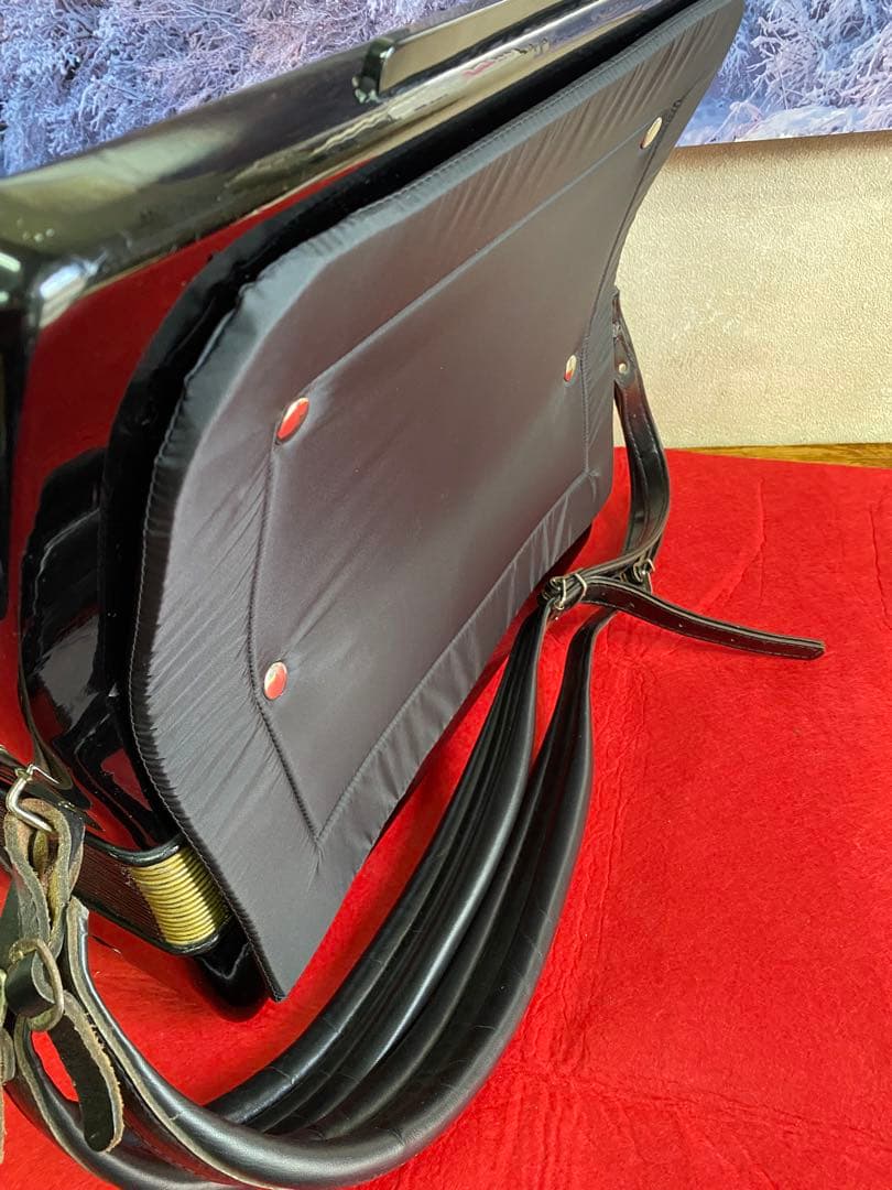 Hohner Verdi II アコーディオン マスターパーンSW付木材ブロック