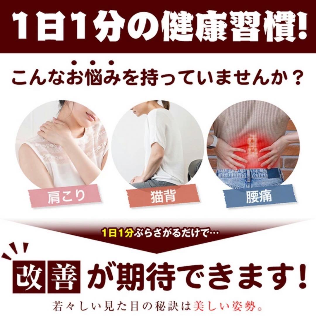 ぶら下がり健康器 トレーニング 懸垂 筋トレ エクササイズ 運動 ジム スポーツ