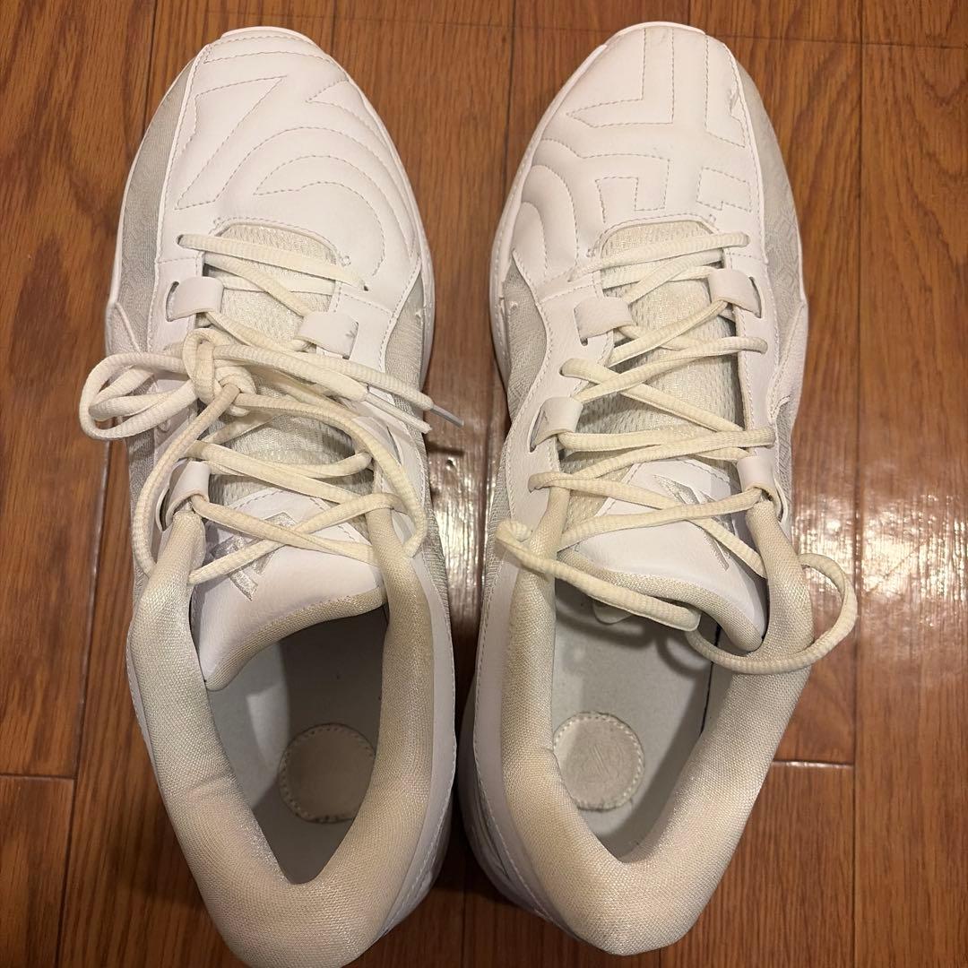 Nike FREAK5 ホワイト バスケットボールシューズ ローカット