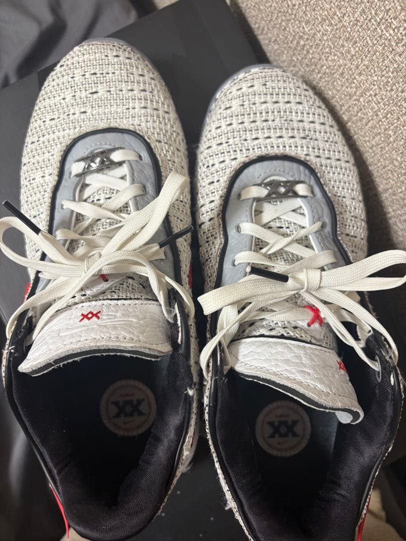 Nike レブロン20
