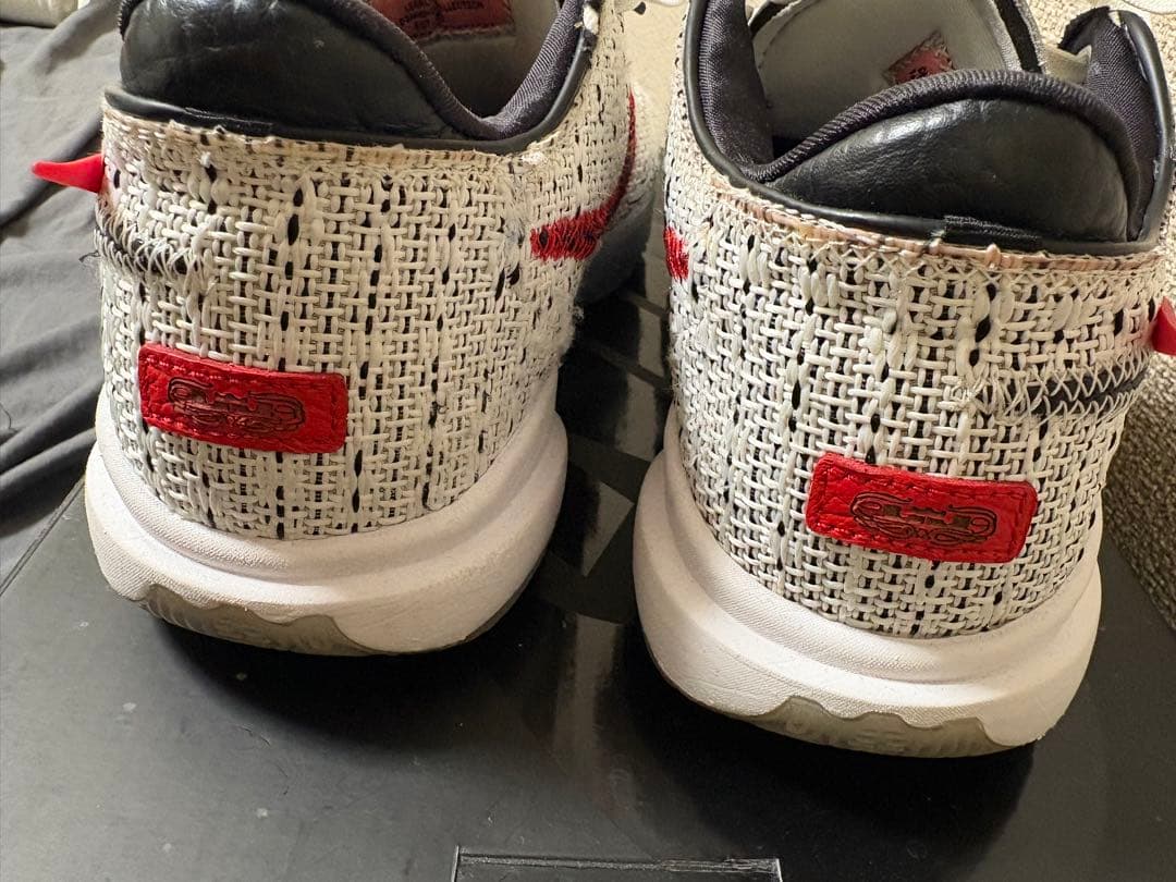 Nike レブロン20