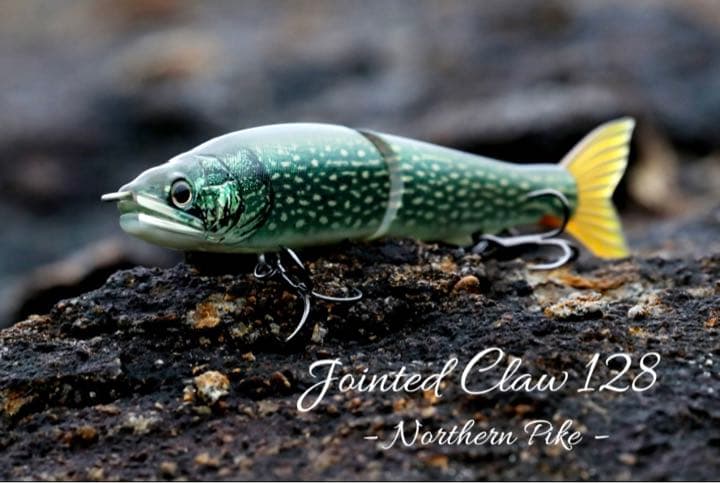 ガンクラフト　限定品　世界の怪魚　アカメ　ノーザンパイク　セット