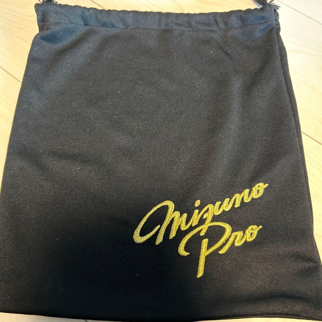 Mizuno Pro 硬式用野球グローブ　ファーストミット　ビックM レア