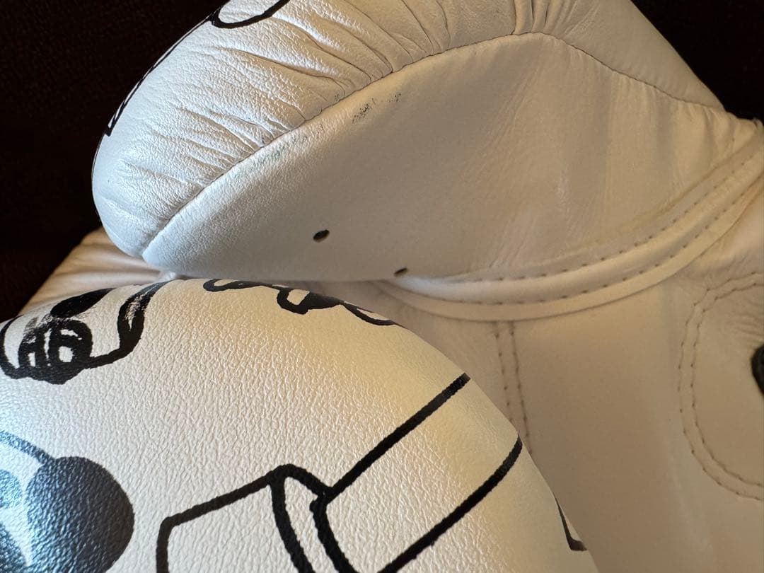 Fairtex グローブ 14oz