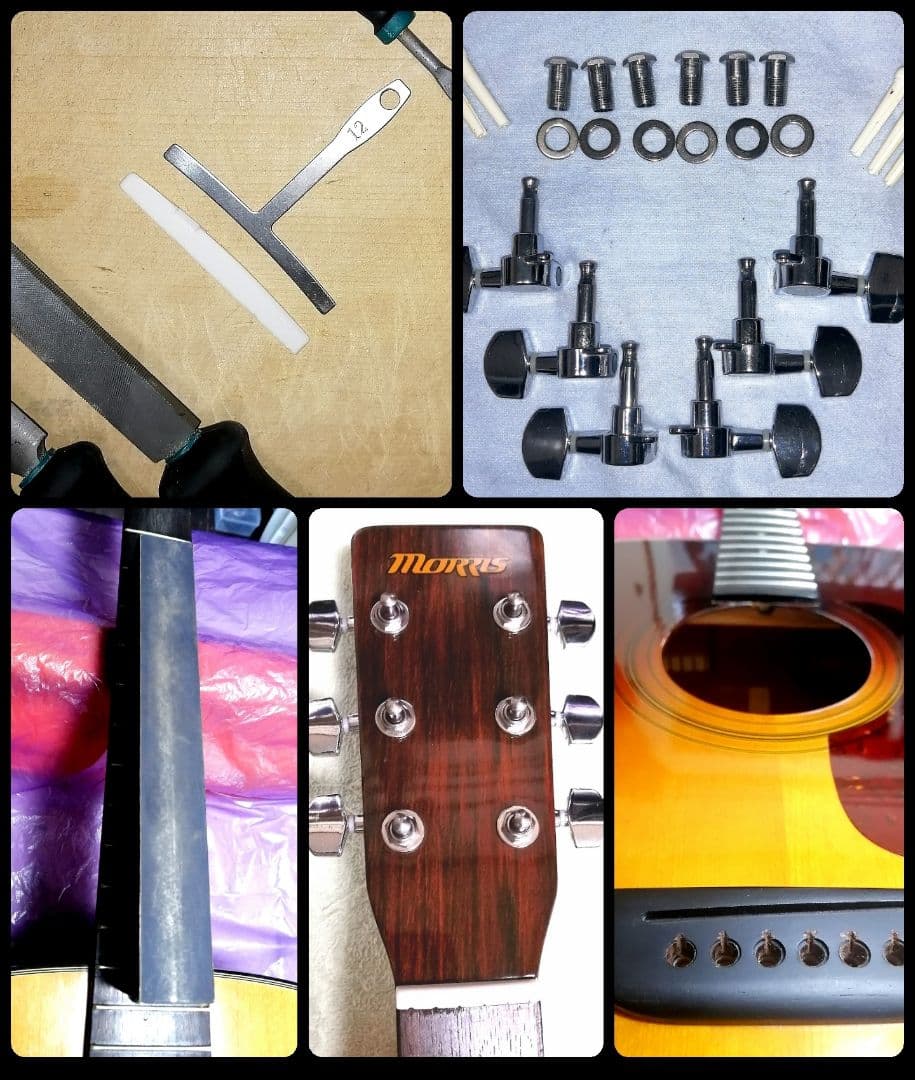 ★美品★Morris MD-256TS