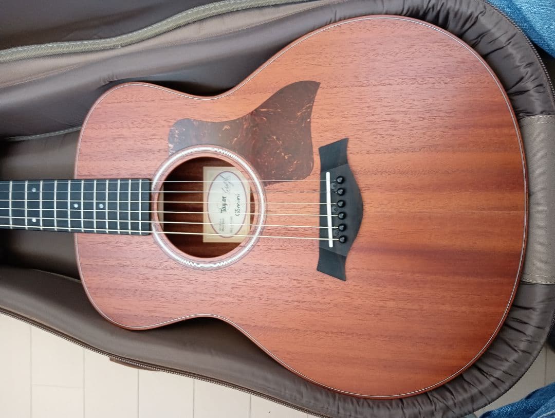 Taylor GS Mini-e Mahogany　pickup付　専用ケース付