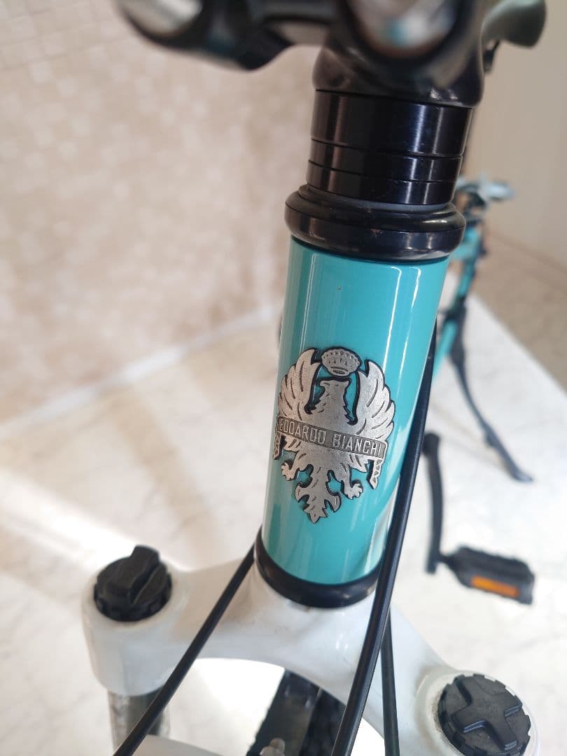 Bianchi EAGLE/ビアンキイーグル 24インチ 引き取り/引渡し限定