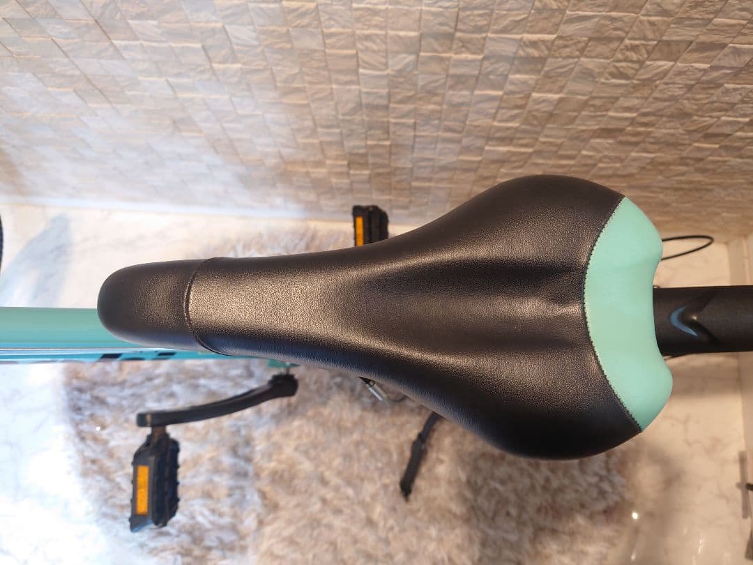 Bianchi EAGLE/ビアンキイーグル 24インチ 引き取り/引渡し限定