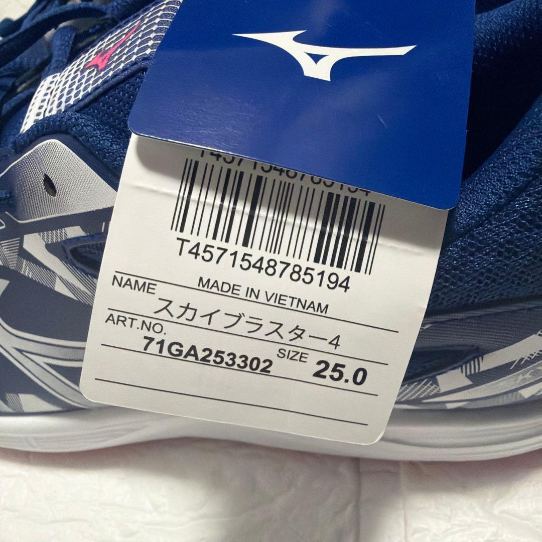 Mizuno バドミントン ユニセックス シューズ