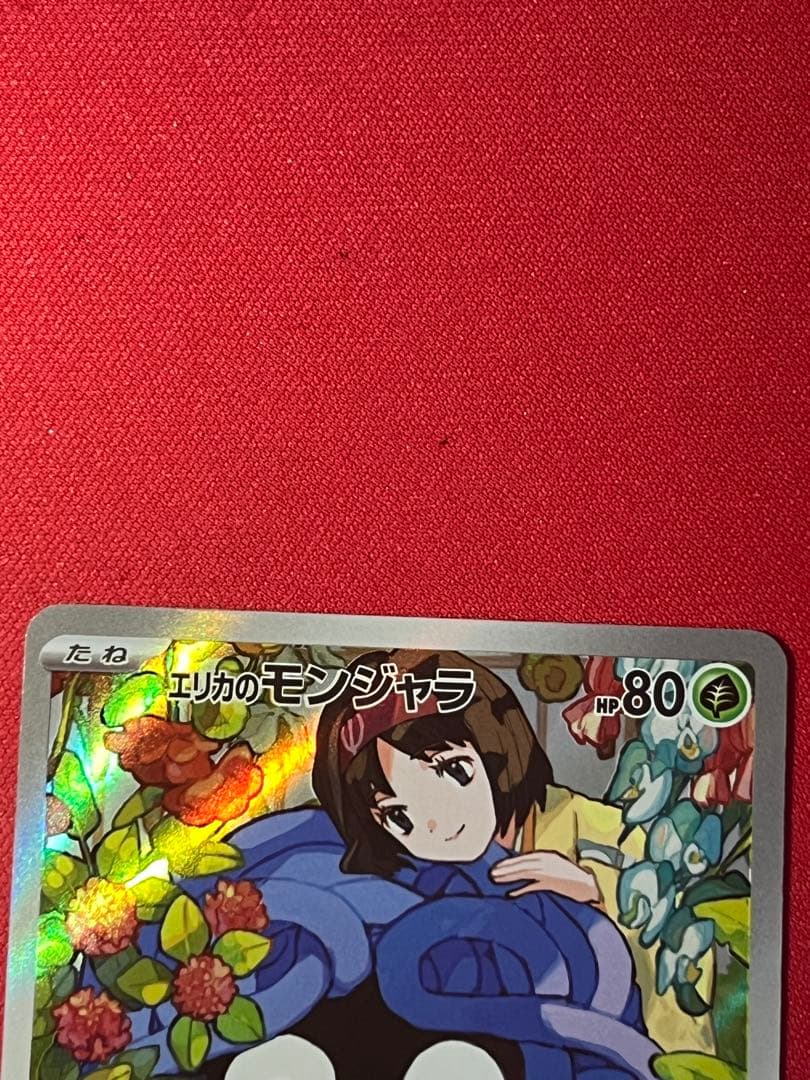 エリカのモンジャラAR
