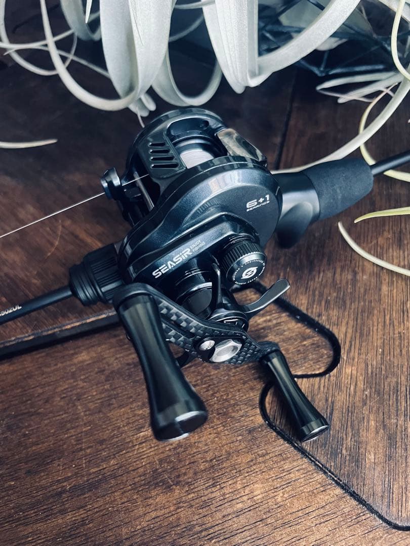 DC搭載　Seasar dc round pro ベイトフィネス