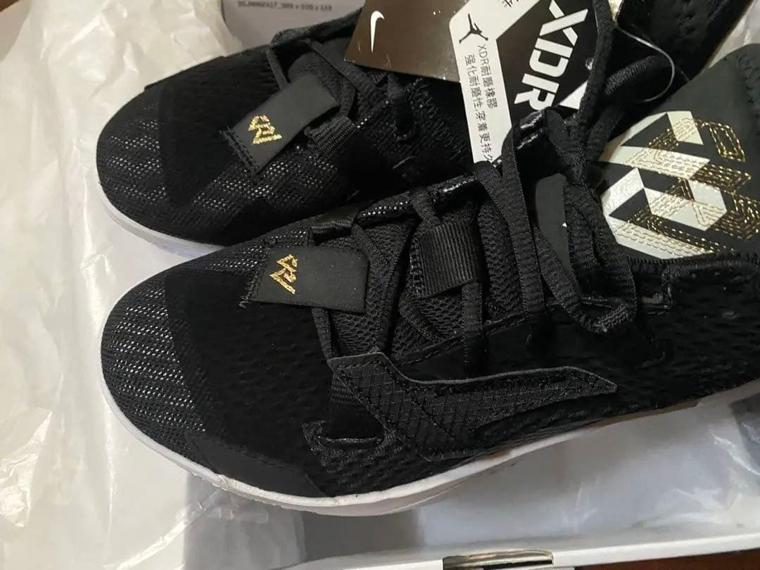 新品 タグ付き Jordan ZERO4 WN 4 スニーカー 25㎝