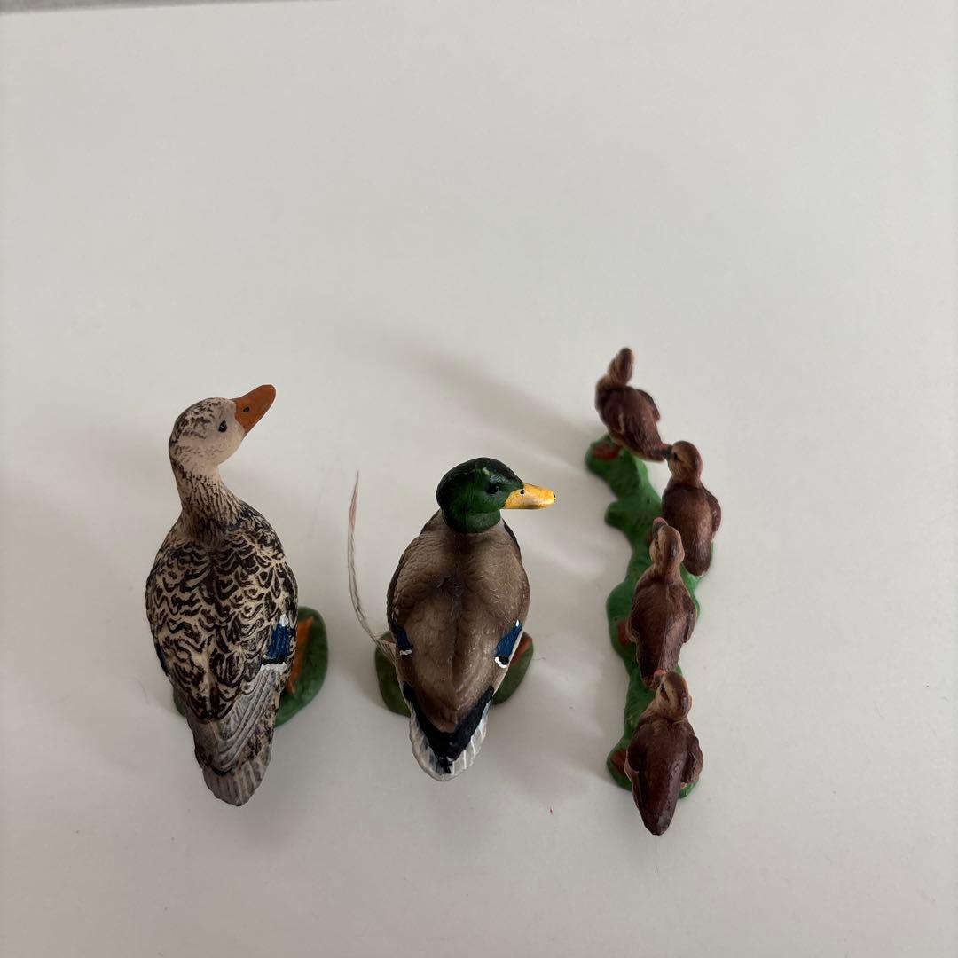 シュライヒ　鳥　フィギュア　カモ　親子　オス　メス　子ども　廃盤品