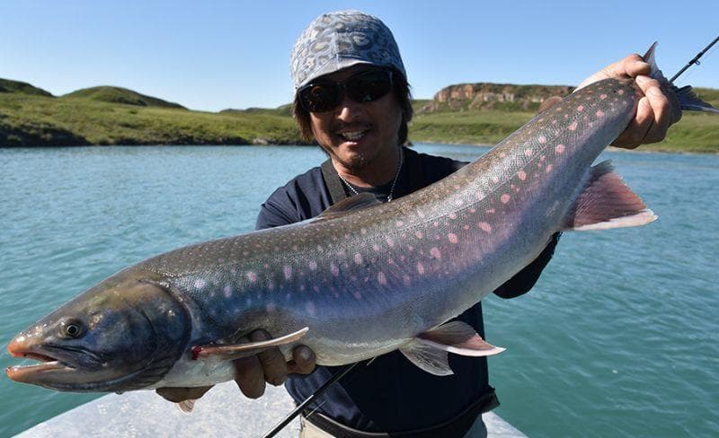 【Fishman】BRIST MARINO 8.0M /*