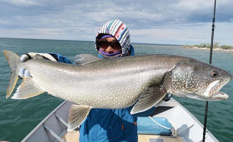 【Fishman】BRIST MARINO 8.0M /*