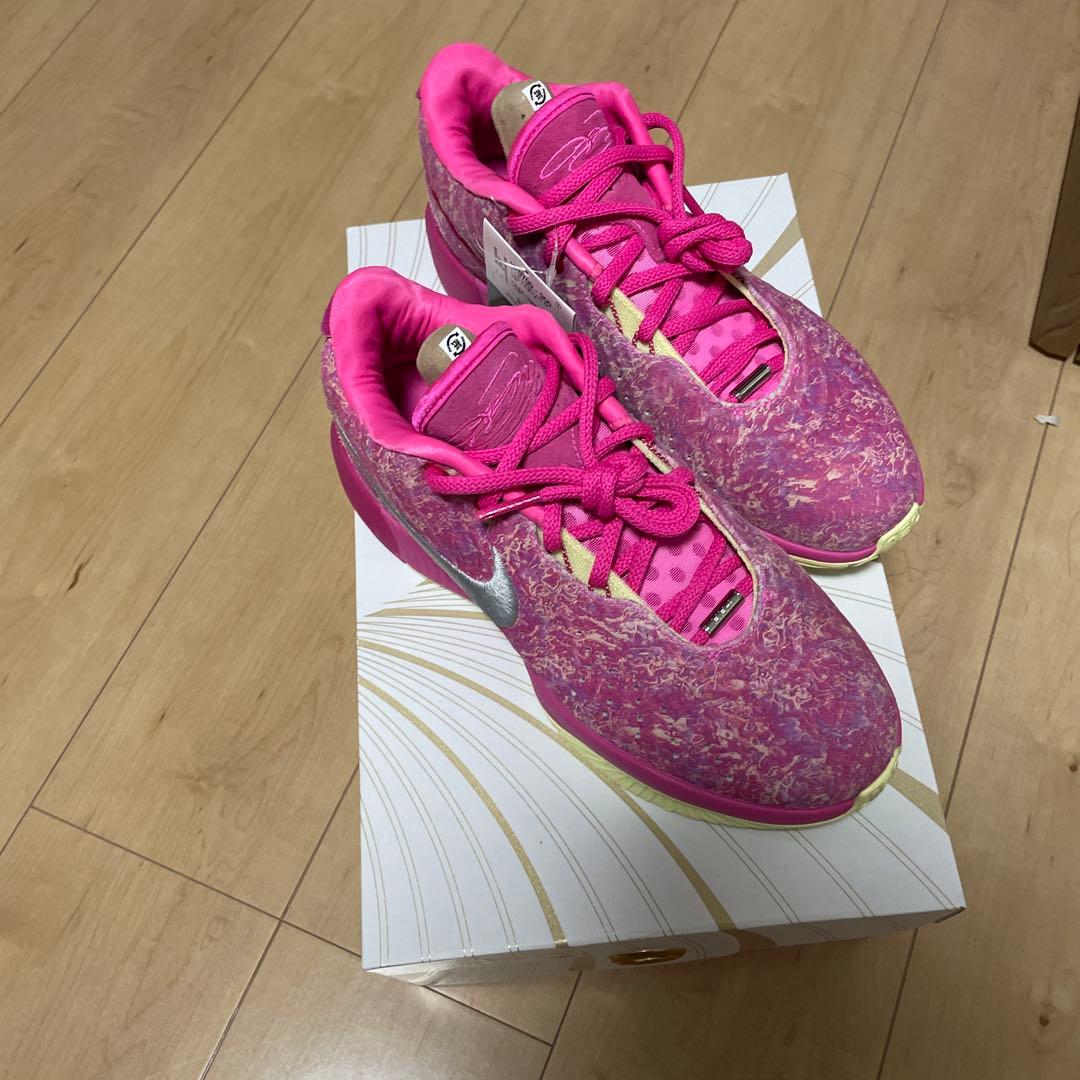 LEBRON 21 27cm レブロン　 ナイキ　新品未使用　ja コービー