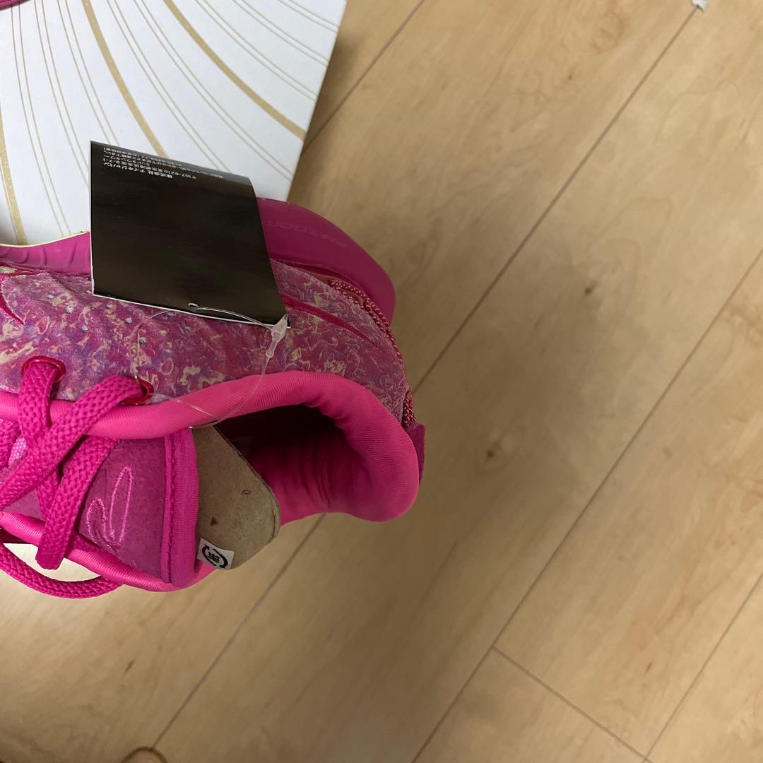 LEBRON 21 27cm レブロン　 ナイキ　新品未使用　ja コービー