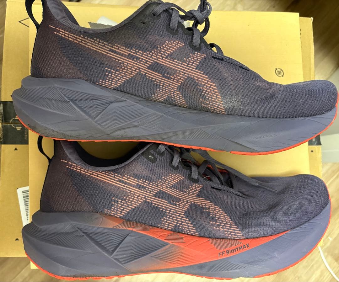 Asics Novablast 5 アシックス ノヴァブラスト（ノバブラスト）5