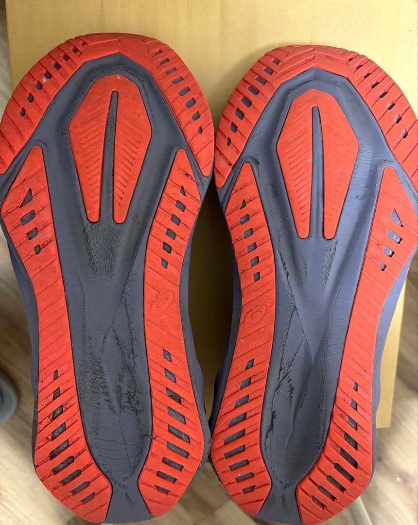 Asics Novablast 5 アシックス ノヴァブラスト（ノバブラスト）5
