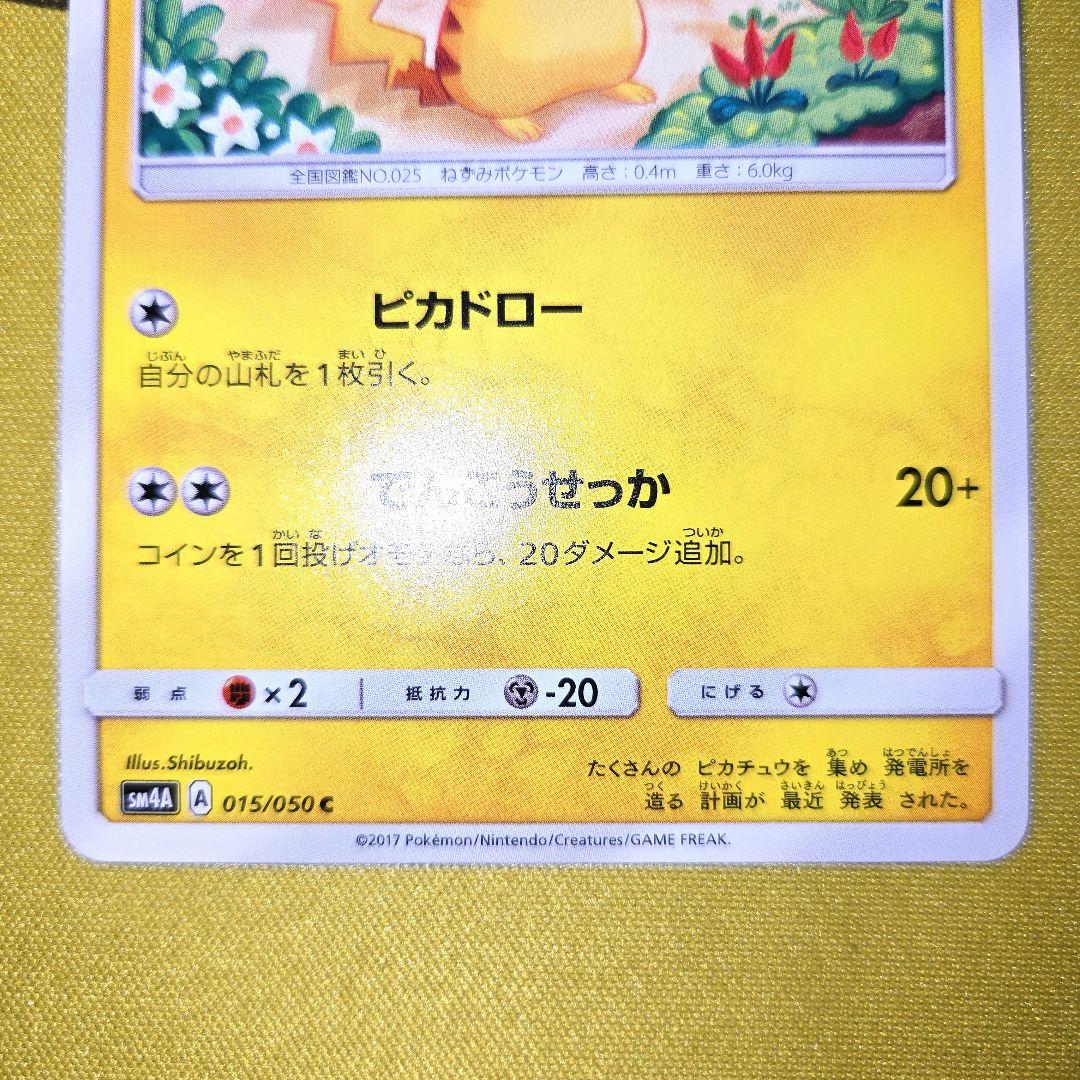 2017年 超次元の暴獣　ピカチュウ