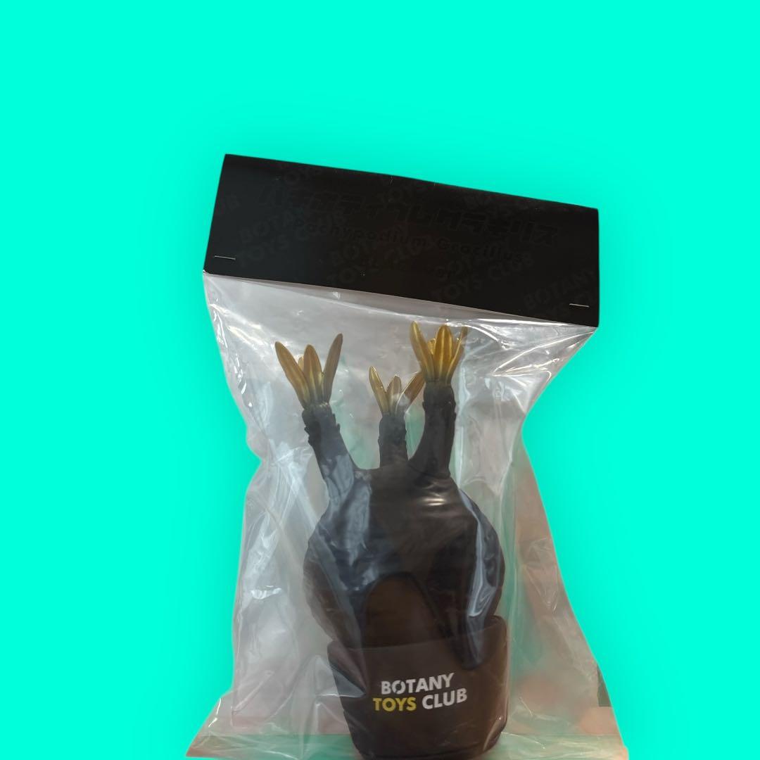 新品⭐︎限定カラー BOTANY TOYS CLUB パキポディウム グラキリス⭐︎
