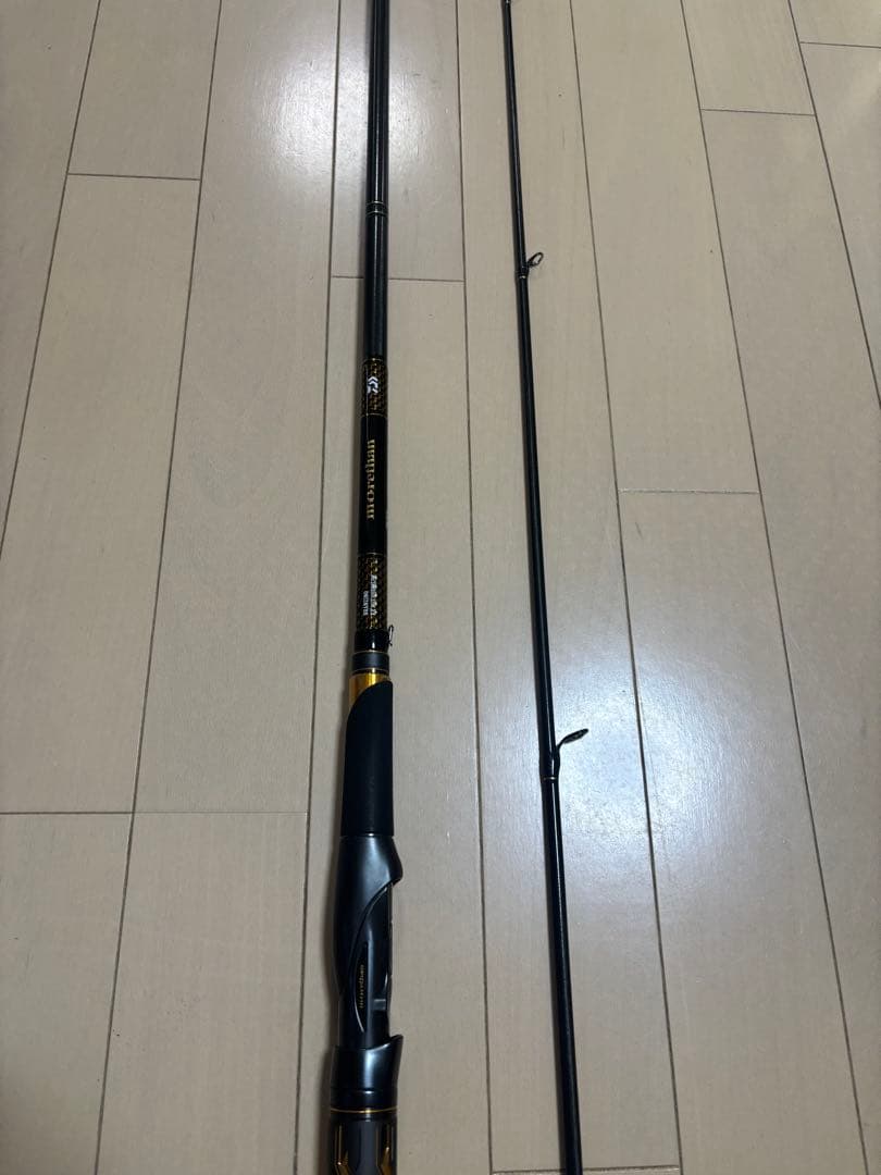 ダイワ モアザン ブランジーノ EX AGS 1010ML/M
