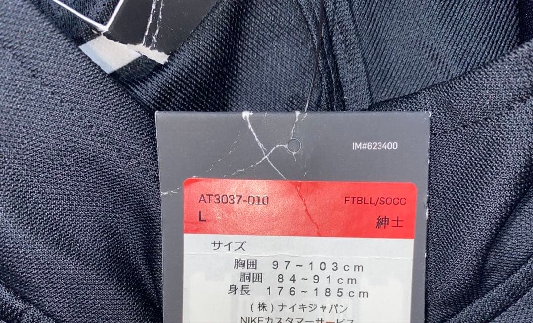 NIKE ナイキ トラックスーツ セットアップ AT3037-010